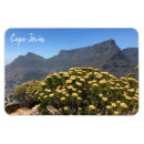 Search for cape town magnets Africa