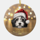 Search for havanese ornaments Pet