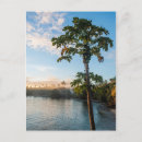Search for sunset palm postcards Destination