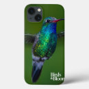 Search for bird watching electronics Hummingbird
