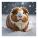 Search for cute pig posters Winter