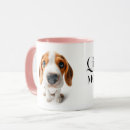 Recherche de chiot de beagle tasses Mignon
