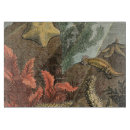 Recherche de coquille planches à découper Algues