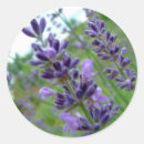Search for lavender stickers Green