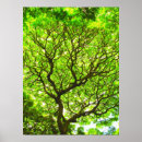 Recherche de pod posters Nature