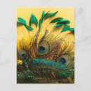 Search for feather patterns postcards Nature