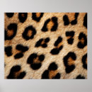 Search for animal skins posters Background