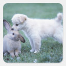 Recherche de oreille animale autocollants Animaux