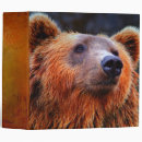 Search for brown bear binders Animal