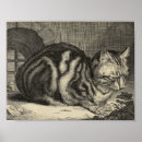 Search for vintage cat posters Classic