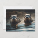 Search for river otters postcards Happy