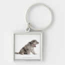 Search for puppies keychains Nature