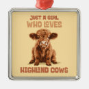 Search for highland cow ornaments Cute