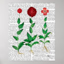 Search for carnation posters Italy