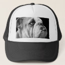 Recherche de bouledogue français casquettes Chiens