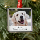 Search for pet memorial ornaments Rainbow bridge