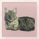 Search for cat coasters Watercolor