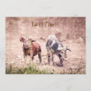 Search for this little piggy invitations Party