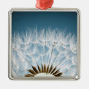 Search for weed ornaments Dandelion