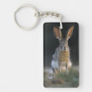 Search for two animals keychains Woodland