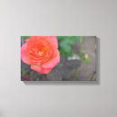 Search for coral pink canvas prints Floral