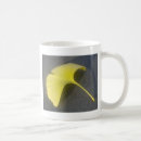 Recherche de ginkgo tasses Biloba
