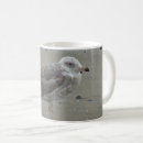 Recherche de oiseau de b tasses Pour tous