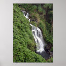 Recherche de hilo posters Hawaïen