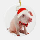Recherche de ventre ornements Porc