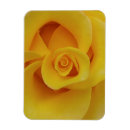 Recherche de pétale magnets Fleur
