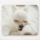 Recherche de boucher tapis souris Amour