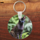 Search for pedigree keychains Pet