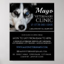Search for veterinary posters Animal care