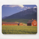 Search for valleys mousepads Field