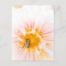 Search for pollinator postcards Bumblebee