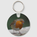 Search for robin christmas keychains Nature