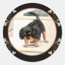 Recherche de domestiqué autocollants Mignon