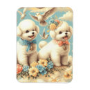 Recherche de frises bichon magnets Chiot