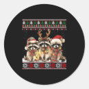 Search for raccoon stickers Xmas