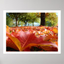Recherche de arbre sans feuilles art Impressions d'art d'automne