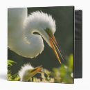 Search for beak binders White