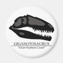 Recherche de jurassique magnets Carnivore
