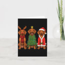 Search for vizsla cards Dog