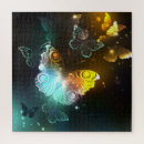 Search for luminous puzzles Night
