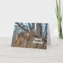 Search for deer birthday cards Whitetail