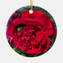 Search for bugs ornaments Flower