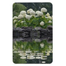 Recherche de hortensia magnets Fleurs