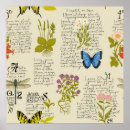 Recherche de vintage herb posters Fleur