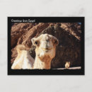 Recherche de le chameau cartes postales Mignon