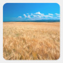 Search for barley stickers Farm
